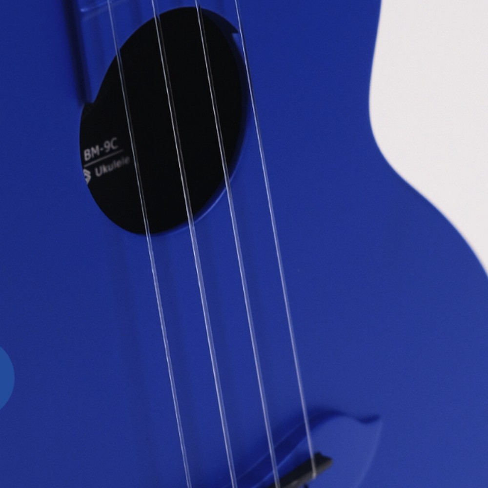 Concert BM-9C — Weatherproof Carbon-Fibre Build