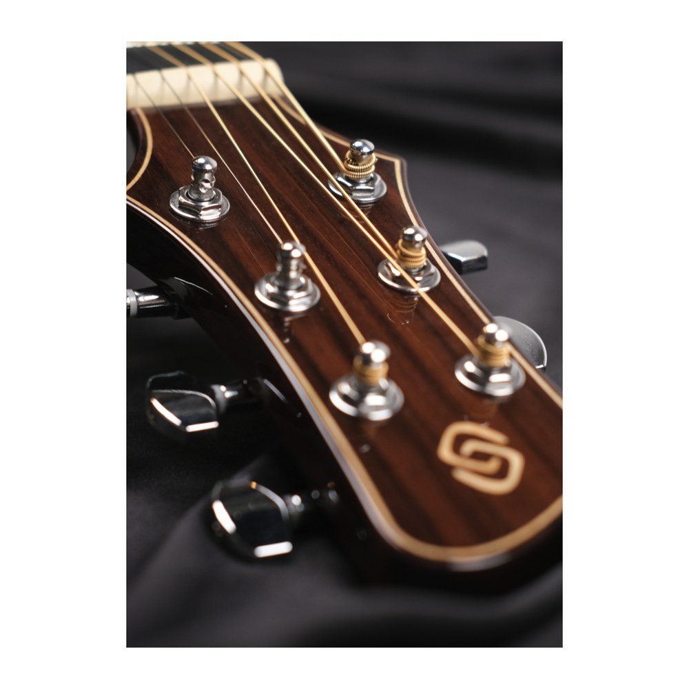 F-Series F139C — Die-Cast Tuners, Rosewood Board