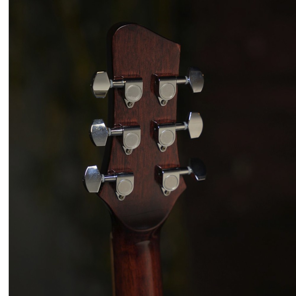 F-Series F239C — Die-Cast Tuners, Rosewood Board, 39" Cutaway