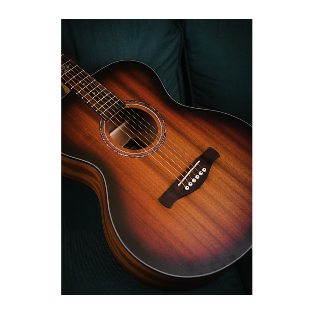 Performance P140 — A Star Inlay, A Blue-Ringed Rosette