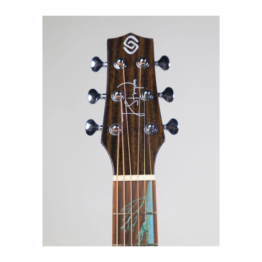 Stage S236C Reef — Turtle & Seaweed, Inlaid Up The Neck