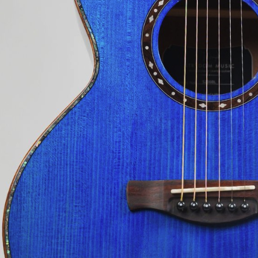 Stage S236C Reef — A Turtle Inlaid In The Rosette