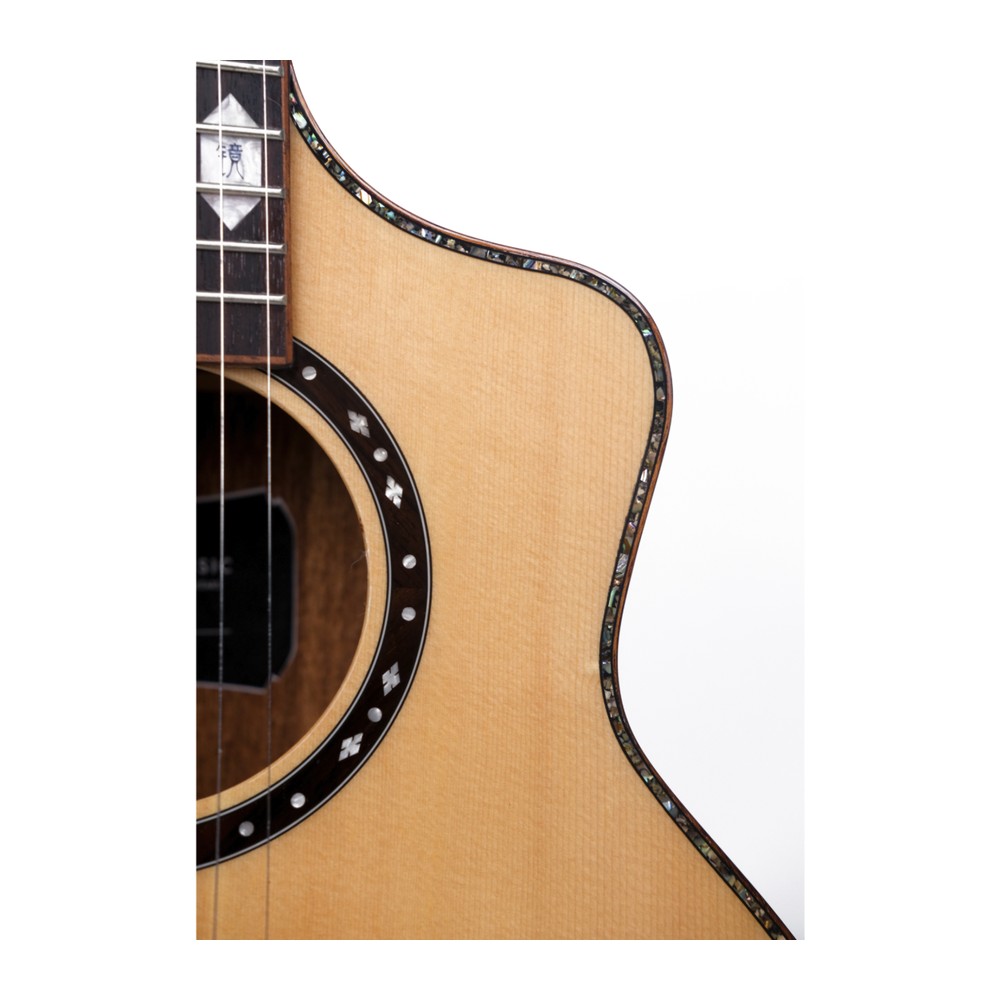 Stage S236C — Abalone Binding Along Every Curve