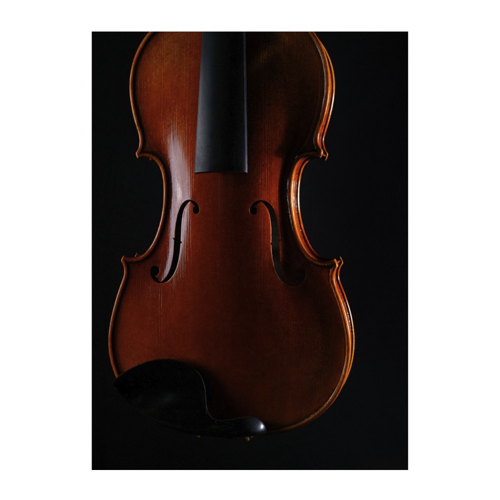 Violin HV41 — Ebony Fingerboard & Fittings